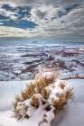 A light snowfall and contrasting orange-colored terrain,e rugged landscape of Canyonlands NP. Art Print